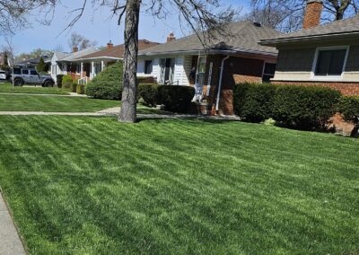 Lawncare