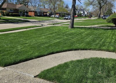 Mowed & Edged