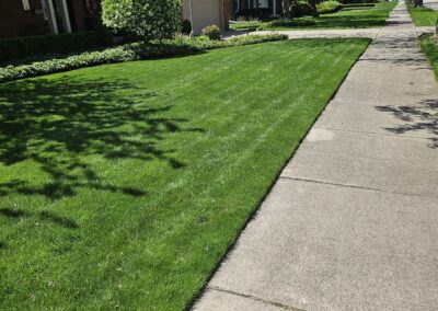 Fresh edging detail