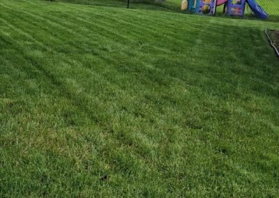 Lawn Maintenance