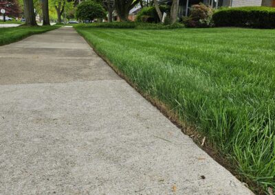 Edged Lawn
