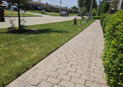 Freshly Mowed and Edged Lawn