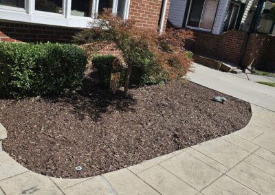 Freshly Mulched Landscaping