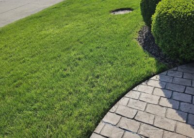 Lawn – Mowed and edged
