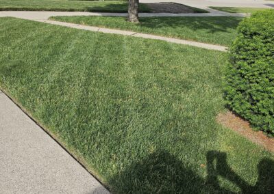 Lawn with Diagonal Lines