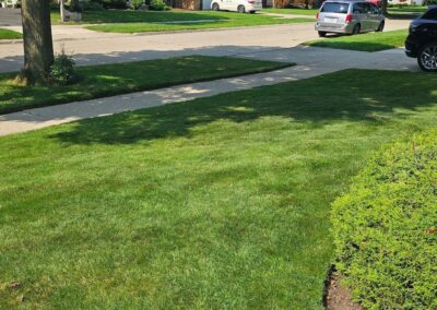 Maintained Lawn