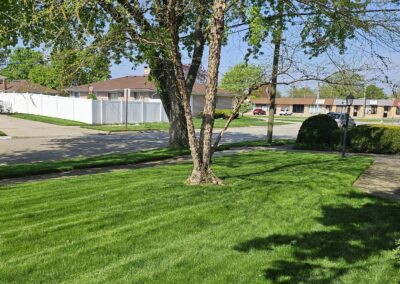 Manicured Lawn