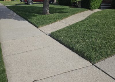 Manicured Yard