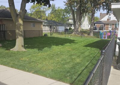 Mowed Backyard