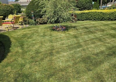 Mowed Lawn