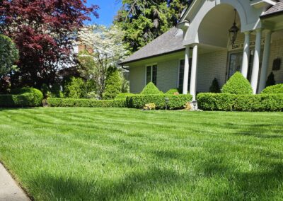 Mowed and Edged Grass