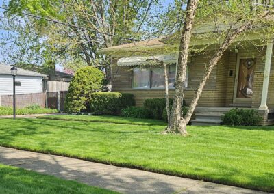 Mowed and Edged Lawn