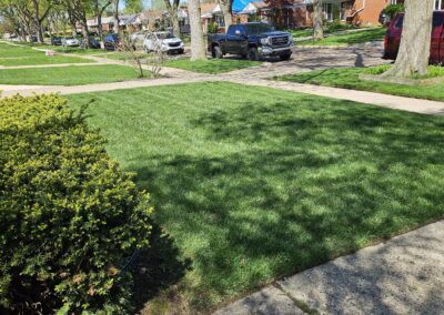 Mowed and Edged Lawn – St. Clair Shores