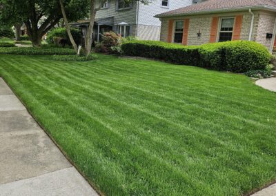 Mowed and Edged Lawn with Lines
