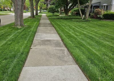 Mowed and Edged Lawn with Lines
