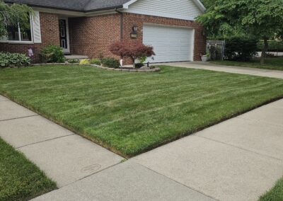 Mowed and Edged Yard