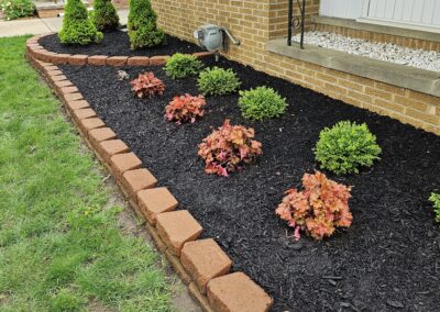 Mulched Garden Bed