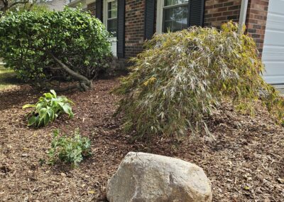 Mulched Landscaping