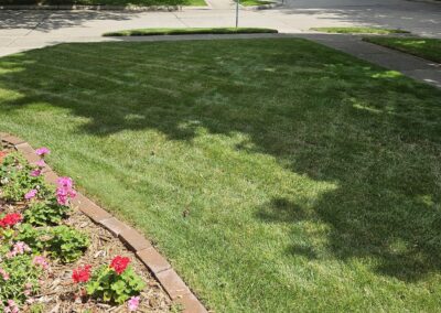 Nicely Mowed Yard