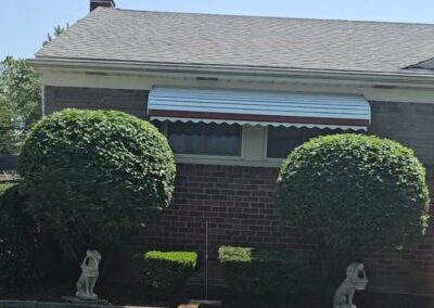 Hedge Shaping