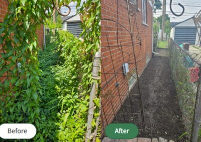 Side yard clean up