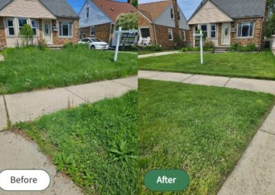 Overgrown lawn care